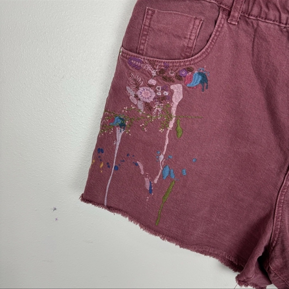 Anthropologie Pilcro Denim Shorts - Picture 1 of 5